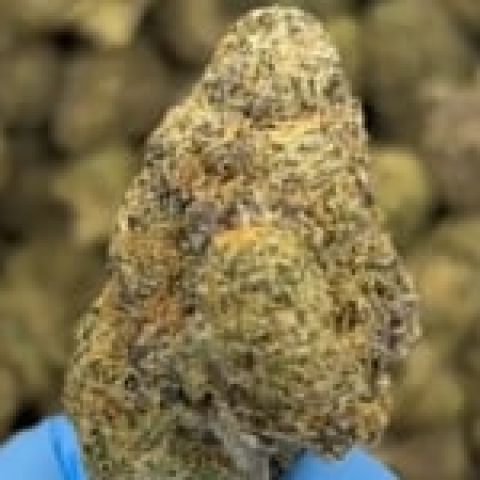 Sherbert Flower - Hybrid - THCA - Video Thumbnail 1