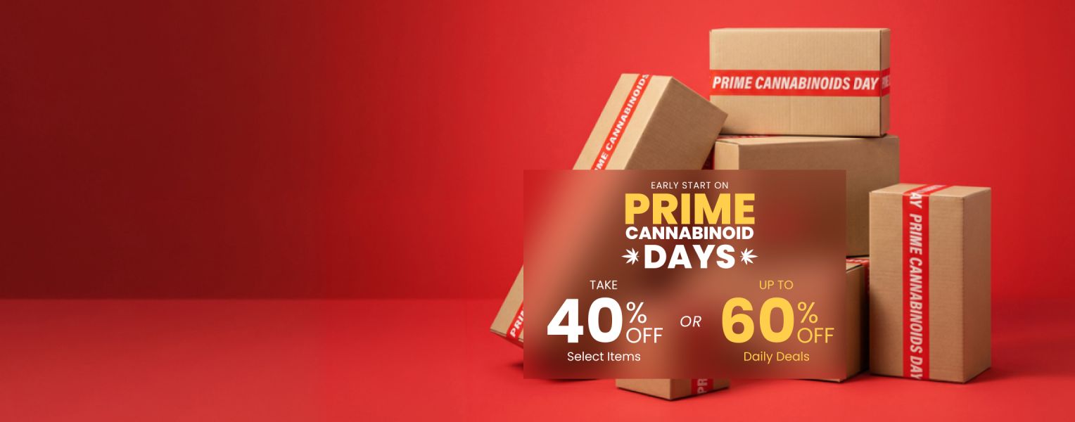 Homepage - Leaderboard - Prime Days