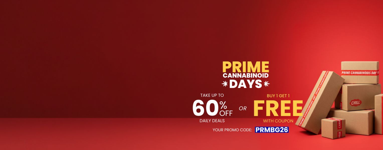 Homepage - Leaderboard - Prime Days