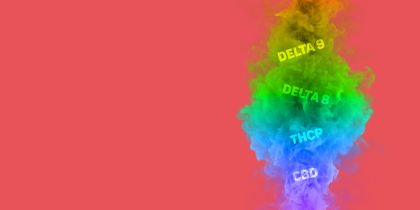 Login - Blend Gummies