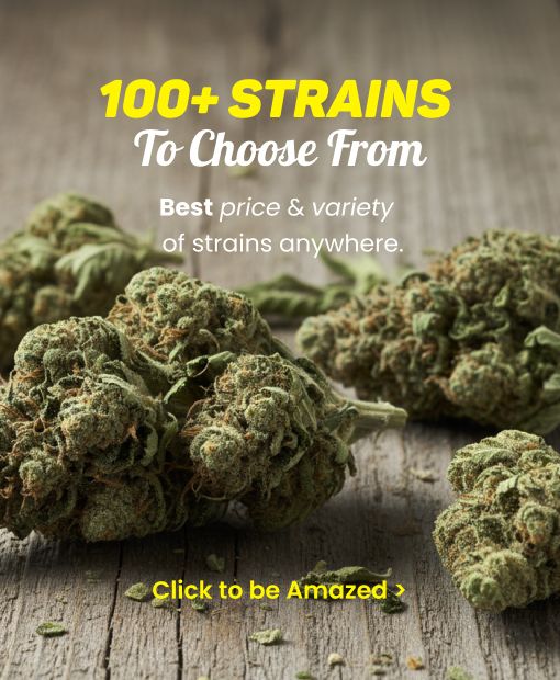 100 Strains