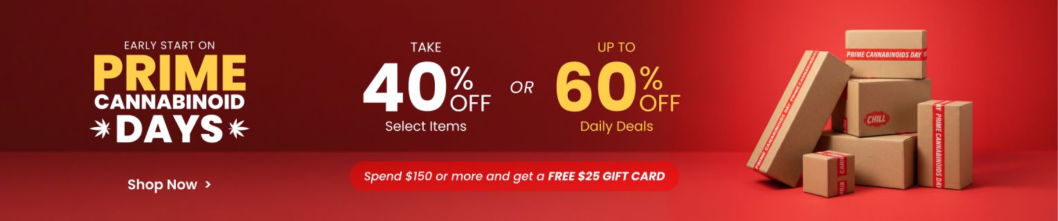 Collection - Banner - Prime Days