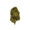 Oreoz Flower - THCA - Hybrid