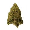 Master Kush Flower - THCA - Indica