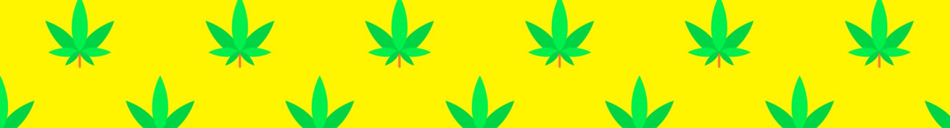Melonatta Strain