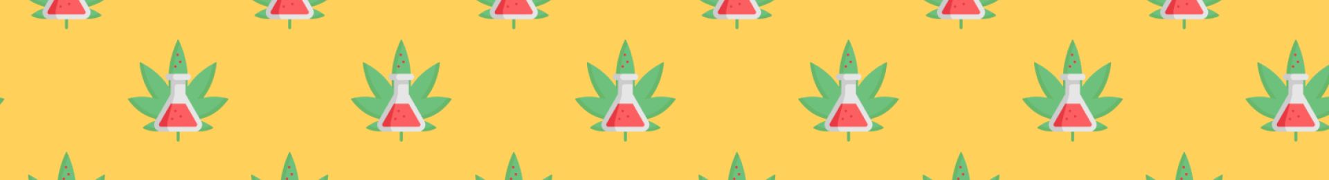 Chemdawg Strain