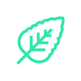 Gush Mintz Strain Icon