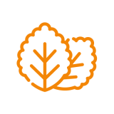 Fiji Mint Strain Icon
