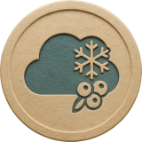 Blizzard Berry Strain