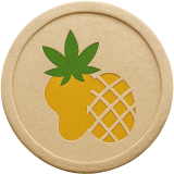 Sour Mango Strain