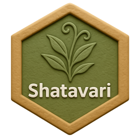 Shatavari Products